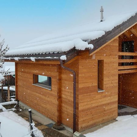 Chalet Le Raccard By Interhome Saviese Экстерьер фото